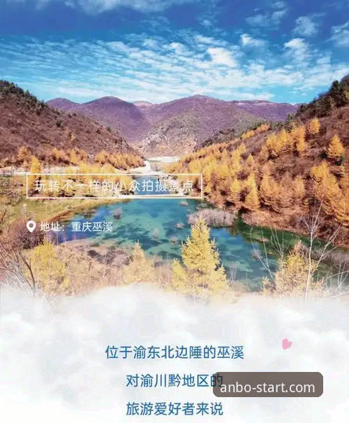 安博体育开启之旅 安博体育开启之旅全面解析:从新手到资深玩家的实战指南